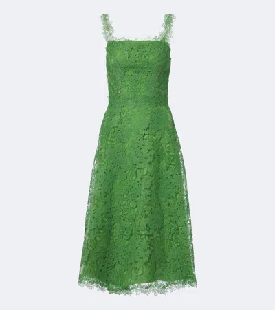 Carolina Herrera Hydrangea Guipure-lace Midi Dress In Green