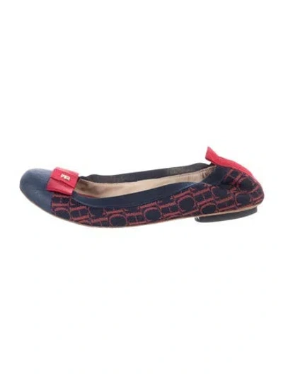 Pre-owned Carolina Herrera Printed Ballet Flats In Blue