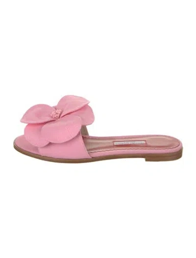 Pre-owned Carolina Herrera Slides W/ Tags In Pink