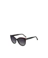 Carolina Herrera Two-tone Cat-eye Frame Sunglasses