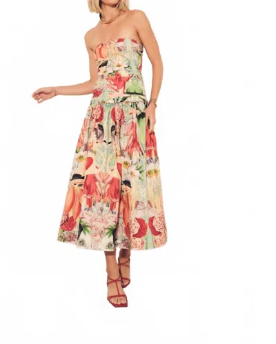 Carolina K Malla Midi Dress In Flamingos