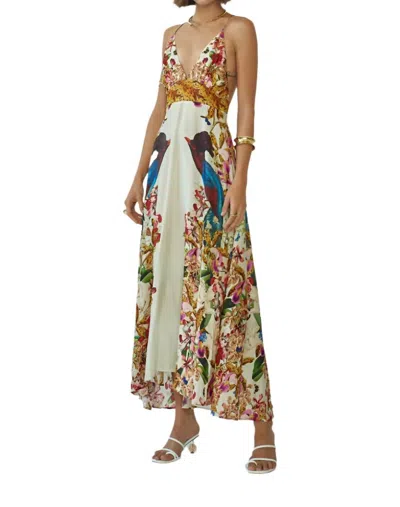 Carolina K Star Dress In Divine Birds White In Multi