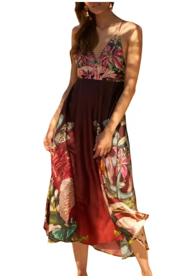 Carolina K Star Dress In Snake Butterfly In Brown