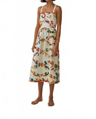 Carolina K Women's Della Dress In Sugar Sizzle In White