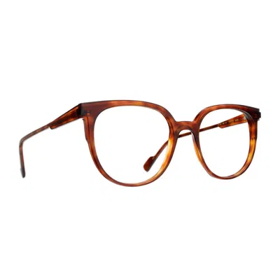 Caroline Abram Tortoiseshell Finess Phantos Acetate Sunglasses In Brown