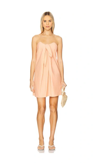 Caroline Constas Kaia Mini Dress In Peach Pink
