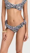 Caroline Constas Lotus Bikini Bottom In Black Leopard Paisley In Multi