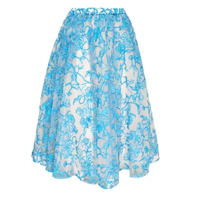 Caroline Hu Floral-embroidered Tulle Skirt In Blue