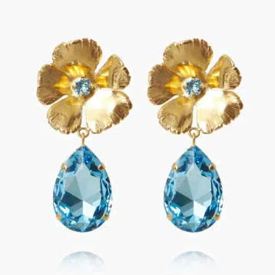 Caroline Svedbom 'anemone' Earrings In Gold