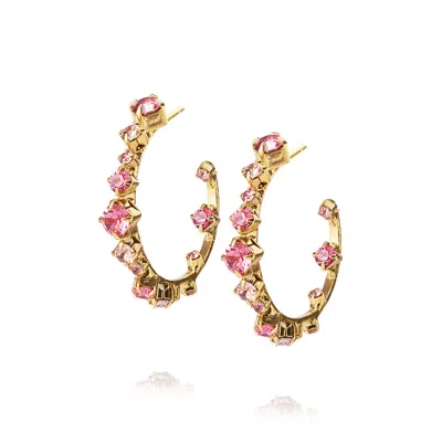 Caroline Svedbom Mini Antonia Loop Earrings Rose Combo