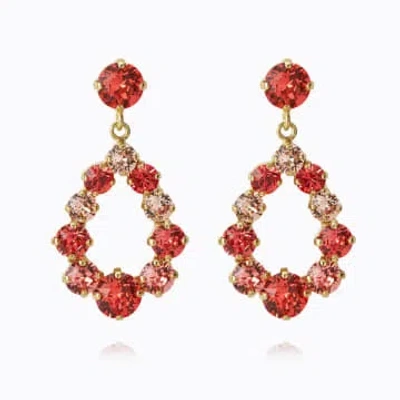 Caroline Svedbom 'mini Delia' Earrings In Red