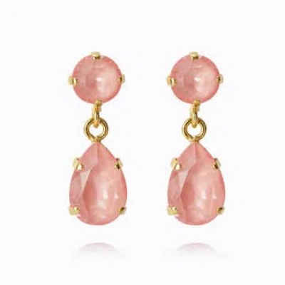 Caroline Svedbom Mini Drop Earrings In Flamingo Ignite In Pink