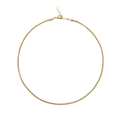 Caroline Svedbom Petite Rope Necklace