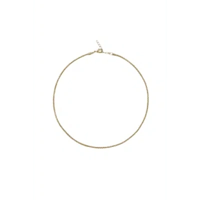 Caroline Svedbom Petite Rope Necklace In Gold