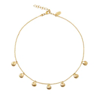 Caroline Svedbom Petite Shell Choker Necklace