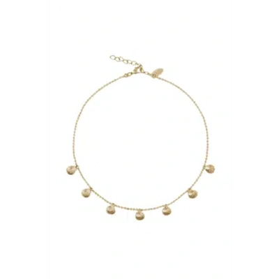 Caroline Svedbom Petite Shell Choker Necklace In Gold