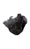 Caroline Zimbalist - “charcoal Bead” Biomaterial Vessel - Black