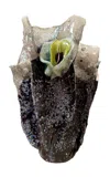Caroline Zimbalist - “charcoal Bead Lime Flower” Biomaterial Vessel - Black