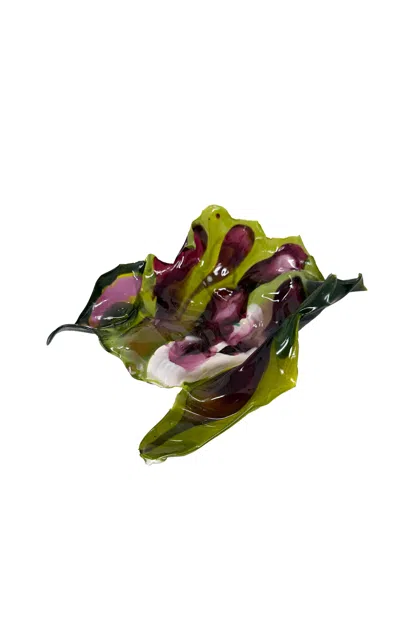 Caroline Zimbalist - Lilly Pad Biomaterial Tray - Multi In Green