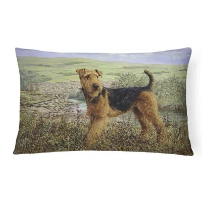 Caroline's Treasures Airedale Terrier The Kings Country Fabric Indoor/outdoor Throw Pillow