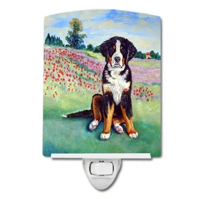 Caroline's Treasures Bernese Mountain Dog Ceramic Night Light In Green