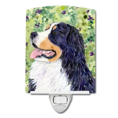 Caroline's Treasures Bernese Mountain Dog Ceramic Night Light In Green;orange