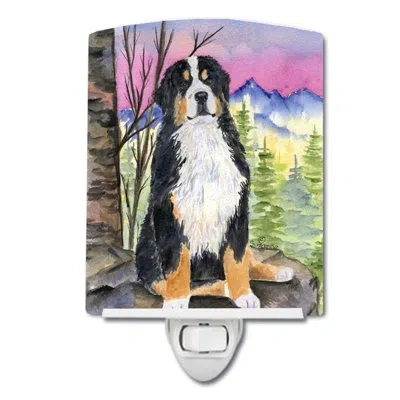 Caroline's Treasures Bernese Mountain Dog Ceramic Night Light In Multicolor;multicolor