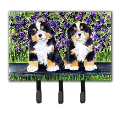 Caroline's Treasures Bernese Mountain Dog Leash Holder And Key Hook In Black;green