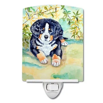 Caroline's Treasures Bernese Mountain Dog Puppy Ceramic Night Light In Green