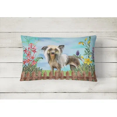 Caroline's Treasures Chinese Crested Spring Indoor/outdoor Throw Pillow
