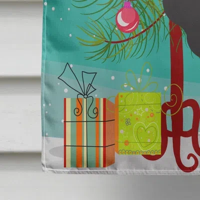 Caroline's Treasures Common Ostrich Christmas 2-sided Polyester 40 X 28 In. House Flag