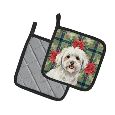 Caroline's Treasures Coton De Tulear Christmas Poinsettas Pair Of Pot Holders In Multicolor