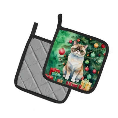 Caroline's Treasures Exotic Shorthair Cat By The Christmas Tree Pair Of Pot Holders In Multicolor