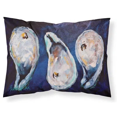 Caroline's Treasures Give Me More Moisture Wicking Pillowcase In Mulitcolor;mulitcolor