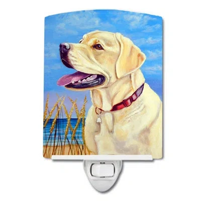 Caroline's Treasures Labrador At The Beach Ceramic Night Light In Blue