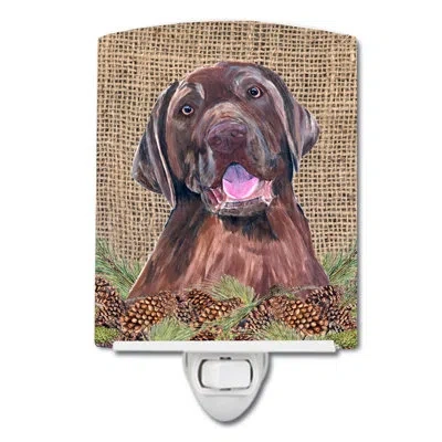 Caroline's Treasures Labrador Faux Burlap And Pine Cones Ceramic Night Light In Brown;red