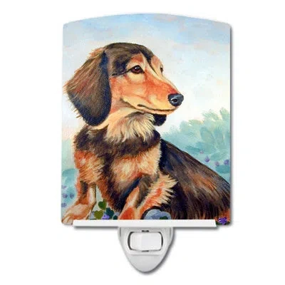 Caroline's Treasures Long Hair Dachshund Ceramic Night Light In Brown