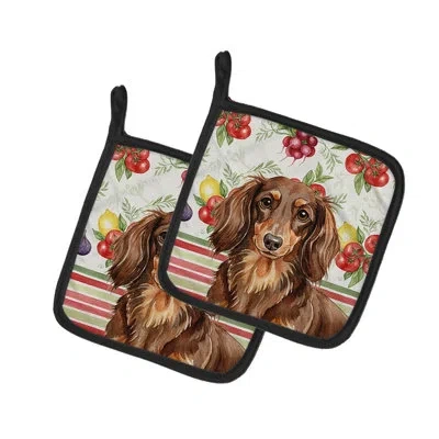 Caroline's Treasures Longhaired Chocolate And Tan Dachshund Vegetables Pair Of Pot Holders In Multicolor