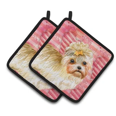 Caroline's Treasures Morkie Love Potholder In Green