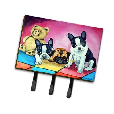 Caroline's Treasures Multiple Breeds Leash Holder And Key Hook In Blue;pink