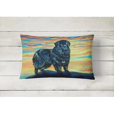 Caroline's Treasures Newfoundland Indoor/outdoor Throw Pillow