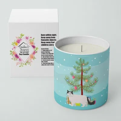 Caroline's Treasures Ragamuffin #1 Cat Merry Christmas 10 oz Decorative Soy Candle In Blue;green