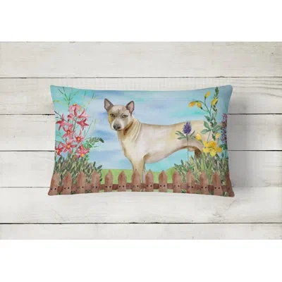 Caroline's Treasures Thai Ridgeback Spring Indoor/outdoor Throw Pillow