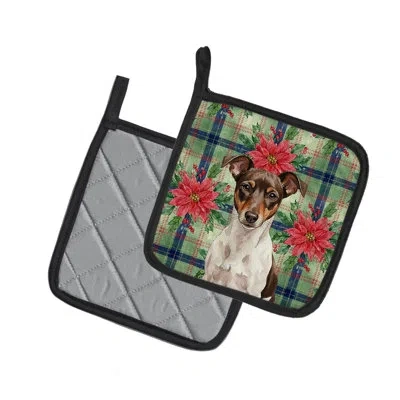Caroline's Treasures Tricolor Rat Terrier Christmas Poinsettas Pair Of Pot Holders In Chocolate,white