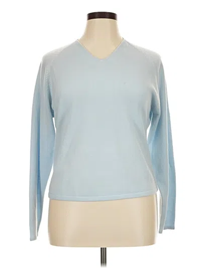 Pre-owned Carolyn Taylor Pullover Sweater In Blue