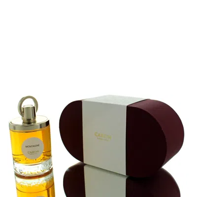 Caron Ladies Montaigne Edp Spray 3.4 oz Fragrances 3387952601125 In Transparent