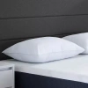 Carpenter Comfort Tech Down Alternate Traditional Pillow In White