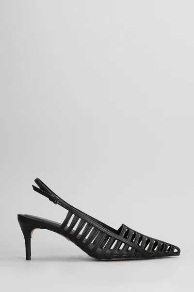 Carrano Pumps In Black