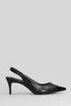 Carrano Pumps In Black