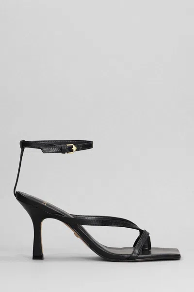 Carrano Sandals